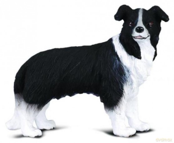 Pies Border Collie [FIGURKA]