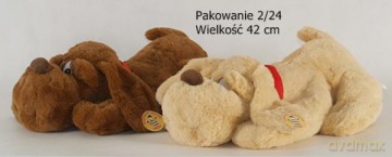 Pies leżący duży