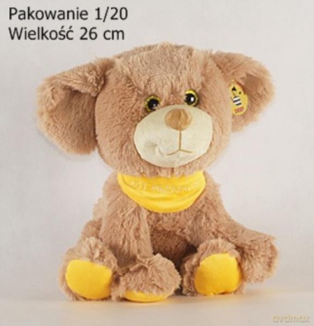 Pies Mój przyjaciel
