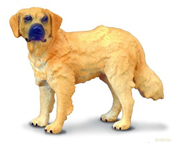 Pies rasy Golden Retriever [FIGURKA]