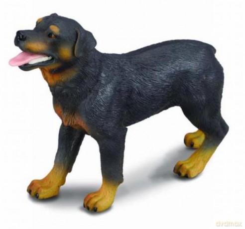 Pies rasy Rottweiler [FIGURKA]