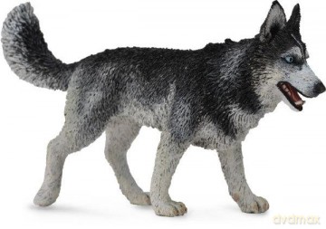 Pies rasy Siberian Husky [FIGURKA]