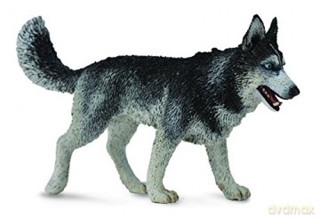 Pies rasy Siberian Husky [FIGURKA]