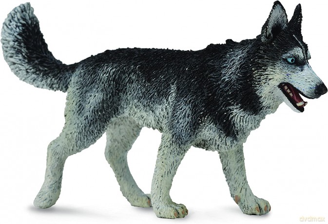 Pies rasy Siberian Husky [FIGURKA]