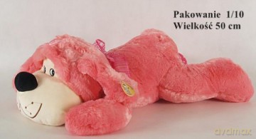 Pies różowy olbrzymi