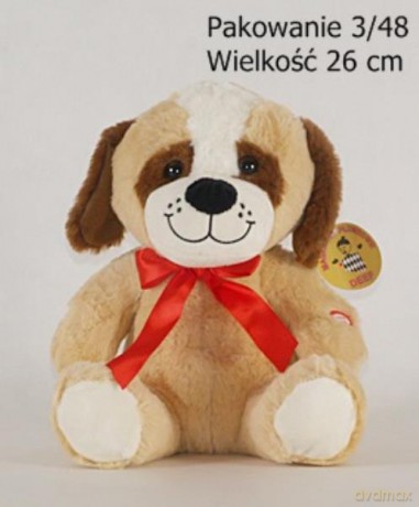 Pies uśmiechnięty duży
