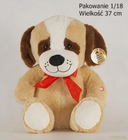 Pies uśmiechnięty wielki
