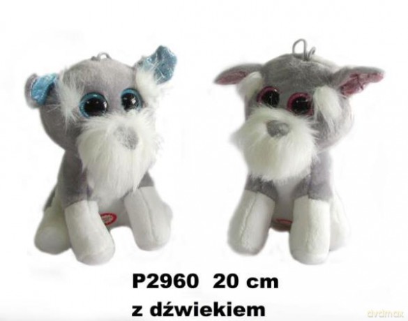 Pies z głosem