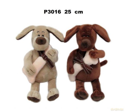 Pies z kością
