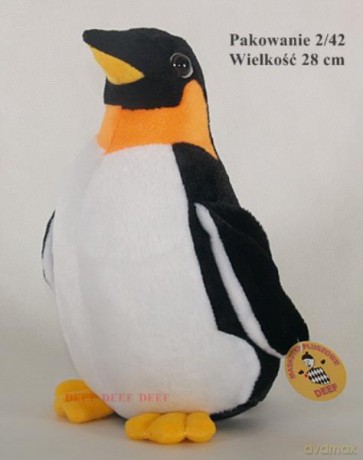 Pingwin duży