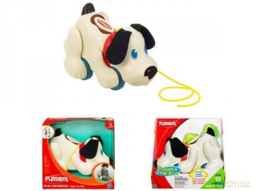 PLS Digger The Dog