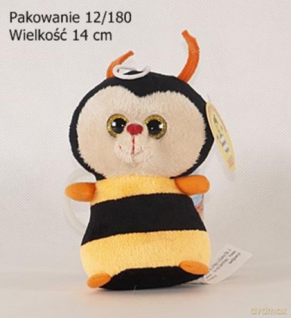 Pszczółka wielkooka