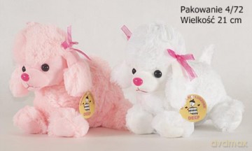 Pudelek duży
