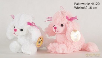 Pudelek mały