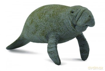 Słoń morski [FIGURKA]