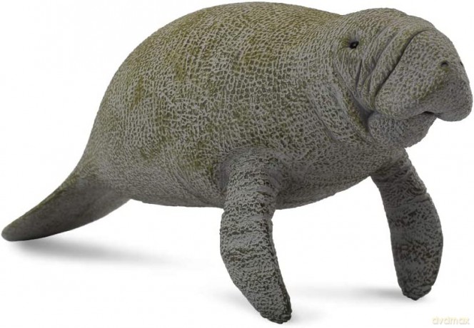 Słoń morski [FIGURKA]