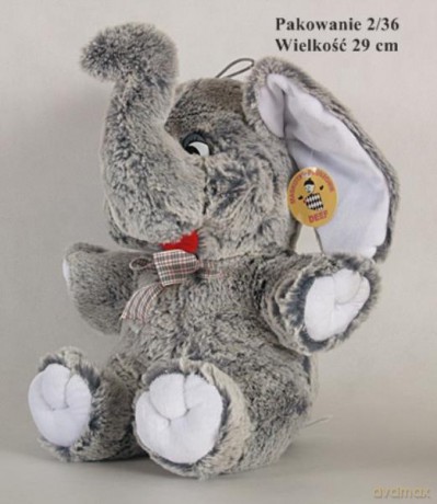 Słoń szary duży