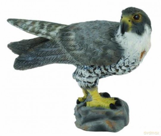 Collecta Sokół [FIGURKA]