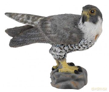 Collecta Sokół [FIGURKA]
