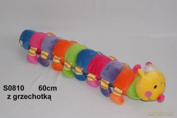 Stonoga grzechotka