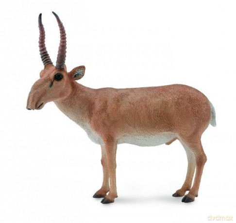 Suhak stepowy [FIGURKA]