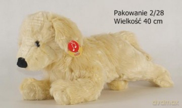 Szczeniak beżowy