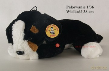 Szczeniak brązowo biały