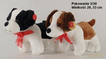 Szczeniak Łaciaty Wielki
