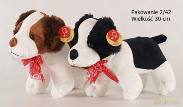 Szczeniak łaciaty większy
