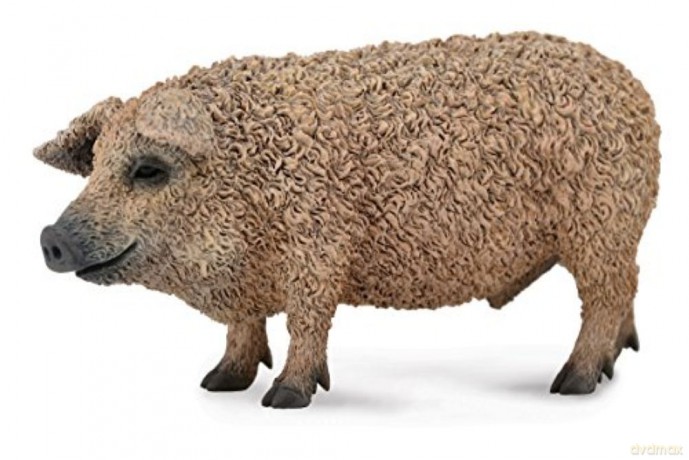 Świnia mangalica [FIGURKA]