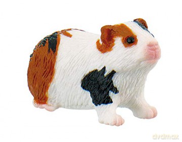 Świnka Morska [FIGURKA]