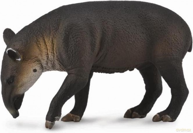 Tapir cielę Bairda [FIGURKA]