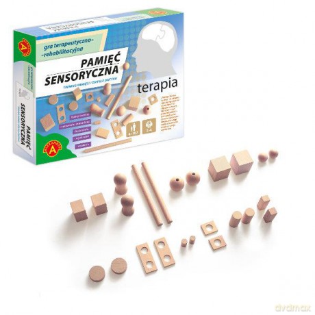 Terapia Pamięć sensoryczna gra
