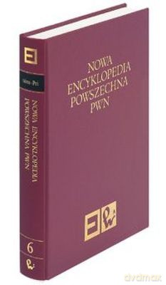 Nowa Encyklopedia Powszechna T.6 2004 -   [KSIĄŻKA]