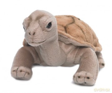 WWF Land turtle