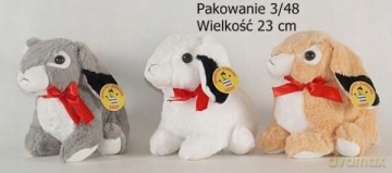 Zając