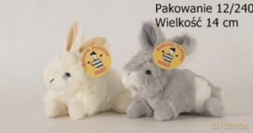 Zając mały