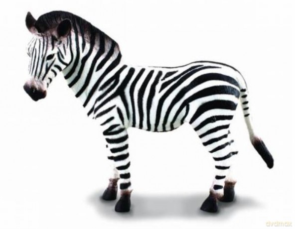 Zebra [FIGURKA]