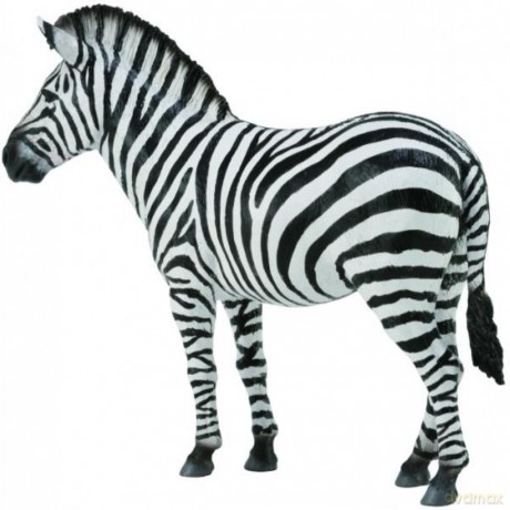 Zebra pospolita [FIGURKA]