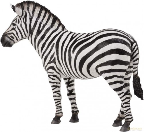 Zebra pospolita [FIGURKA]