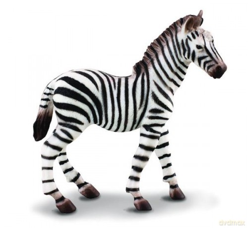 Zebra źrebię [FIGURKA]