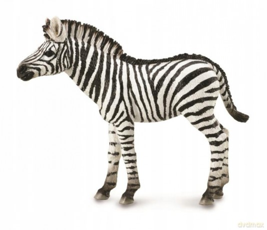 Zebra źrebię [FIGURKA]