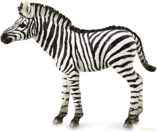 Zebra źrebię [FIGURKA]