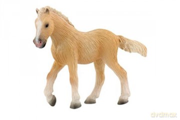 Źrebak Rasy Palomino [FIGURKA]