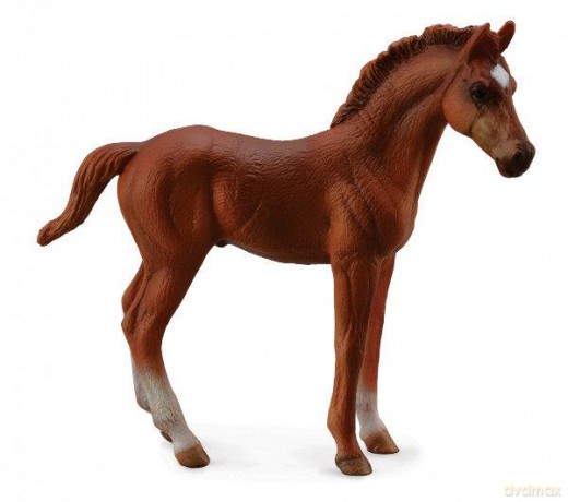 Źrebię Thoroughbred [FIGURKA]