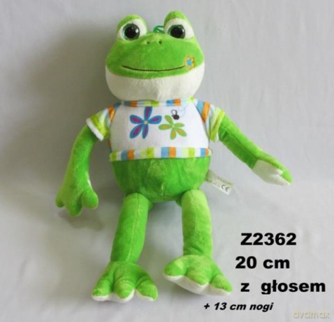 Żaba