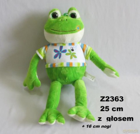 Żaba
