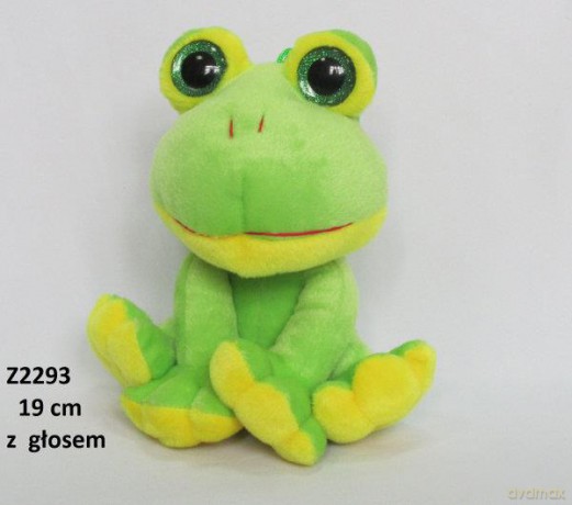 Żaba głos