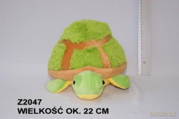 Żółw