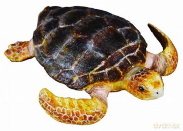 Żółw Karetta [FIGURKA]